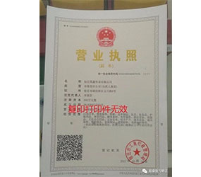 营业执照_视康记忆